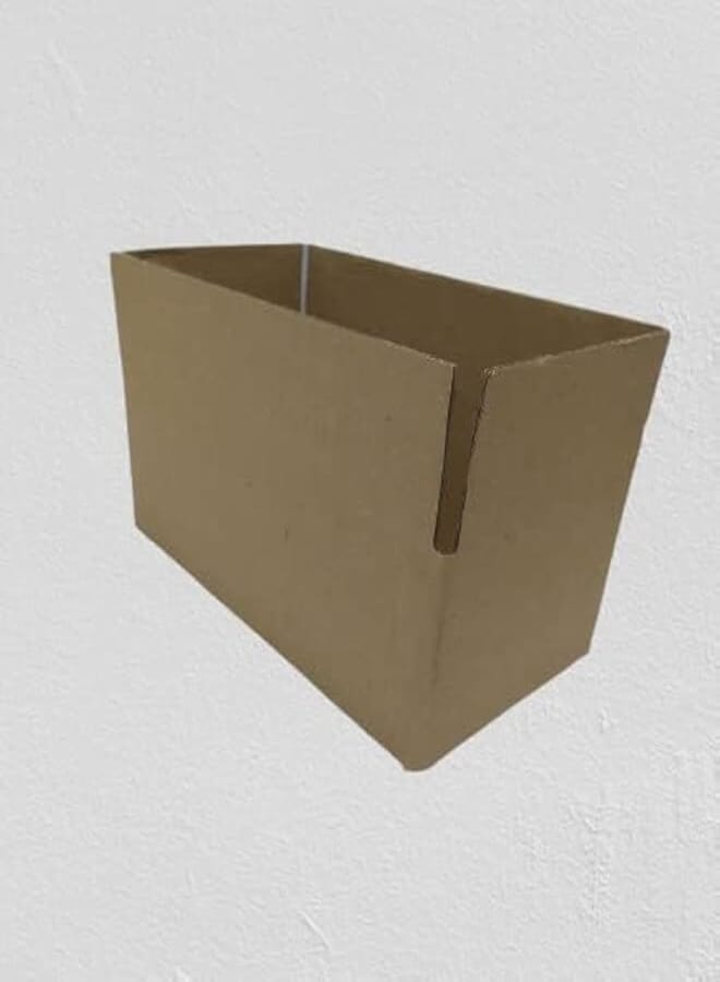 Premium Quality Durable 3-Ply Corrugated Cardboard carton Box - Perfect for Packing, Shipping and Storing Small Goods - 30cm x 15cm x 12cm (20)